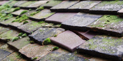 Yspitty roof repair costs